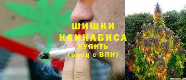 мдпв Верея