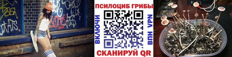 Галлюциногенные грибы Magic Shrooms  Змеиногорск 